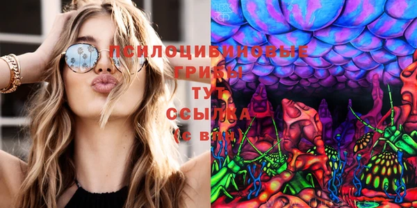 гашиш Бородино