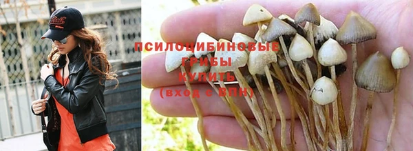 стафф Верхнеуральск