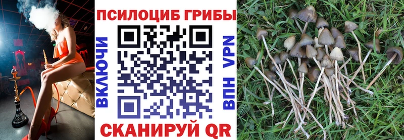 Псилоцибиновые грибы GOLDEN TEACHER  omg зеркало  Межгорье 